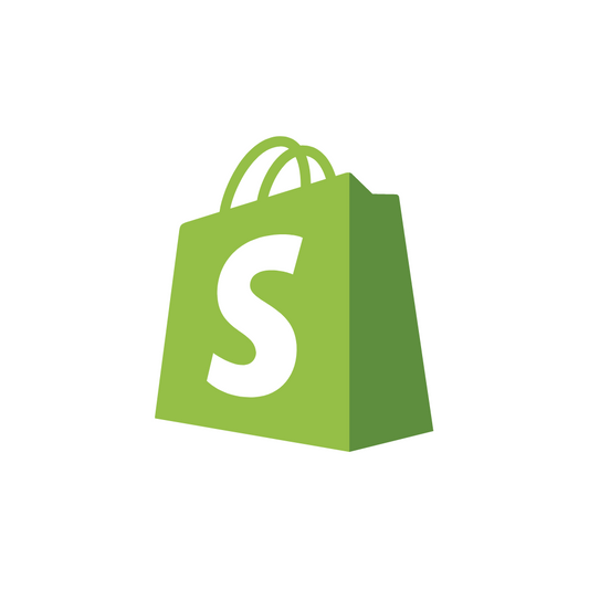 Posicionamiento de Shopify en Google - 11 meses - Shopify Partners México